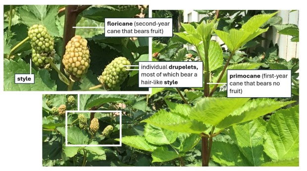 Instructive Image Example How to transform ordinary images into instructional images – Moore Thinking